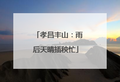 孝昌丰山：雨后天晴插秧忙
