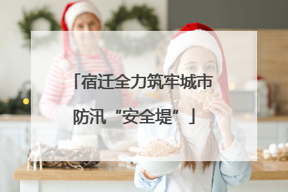 宿迁全力筑牢城市防汛“安全堤”