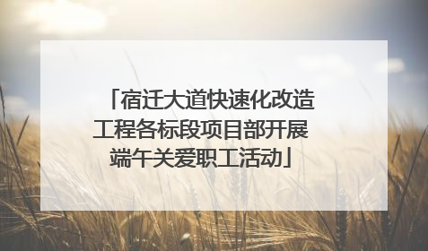 宿迁大道快速化改造工程各标段项目部开展端午关爱职工活动