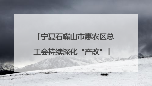 宁夏石嘴山市惠农区总工会持续深化“产改”