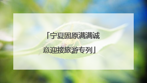 宁夏固原满满诚意迎接旅游专列