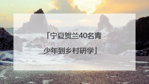 宁夏贺兰40名青少年到乡村研学