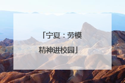宁夏：劳模精神进校园