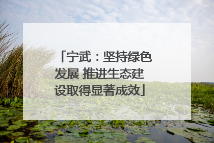 宁武：坚持绿色发展 推进生态建设取得显著成效