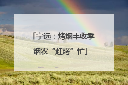 宁远：烤烟丰收季 烟农“赶烤”忙