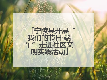 宁陵县开展“我们的节日·端午”走进社区文明实践活动
