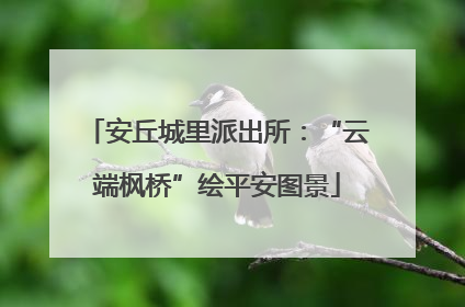 安丘城里派出所：“云端枫桥”绘平安图景