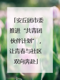 安丘团市委推进“共青团伙伴计划”，让青春与社区双向奔赴
