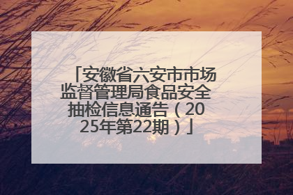 安徽省六安市市场监督管理局食品安全抽检信息通告（2025年第22期）
