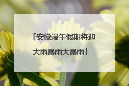 安徽端午假期将迎大雨暴雨大暴雨