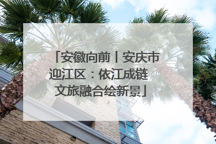 安徽向前丨安庆市迎江区：依江成链 文旅融合绘新景