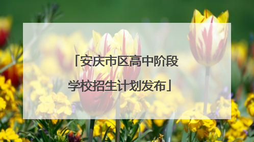 安庆市区高中阶段学校招生计划发布