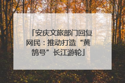 安庆文旅部门回复网民：推动打造“黄鹄号”长江游轮