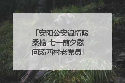 安阳公安温情暖桑榆 七一前夕慰问汤西村老党员