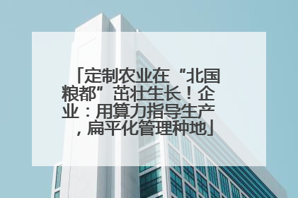 定制农业在“北国粮都”茁壮生长！企业：用算力指导生产，扁平化管理种地