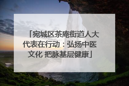 宛城区茶庵街道人大代表在行动：弘扬中医文化 把脉基层健康