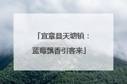 宜章县天塘镇：蓝莓飘香引客来