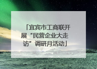 宜宾市工商联开展“民营企业大走访”调研月活动