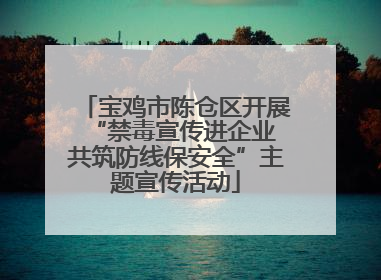 宝鸡市陈仓区开展“禁毒宣传进企业 共筑防线保安全”主题宣传活动