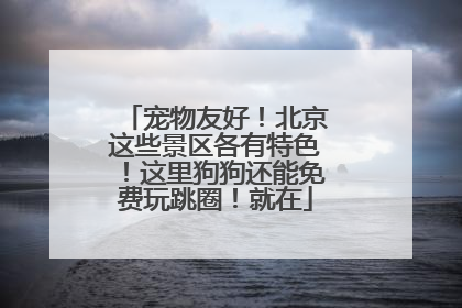 宠物友好！北京这些景区各有特色！这里狗狗还能免费玩跳圈！就在