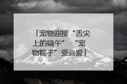 宠物迎接“舌尖上的端午” “宠物粽子”受喜爱