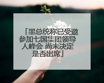 墨总统称已受邀参加七国集团领导人峰会 尚未决定是否出席