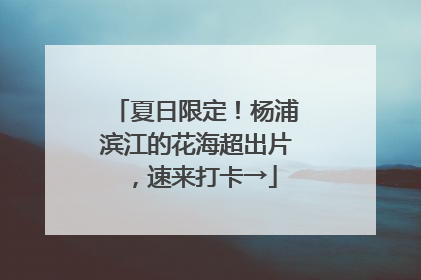 夏日限定！杨浦滨江的花海超出片，速来打卡→