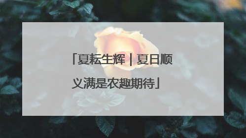 夏耘生辉｜夏日顺义满是农趣期待