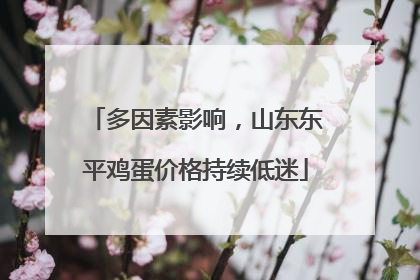 多因素影响，山东东平鸡蛋价格持续低迷