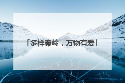 多样秦岭，万物有爱