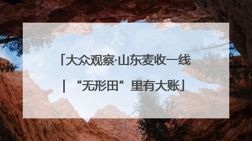 大众观察·山东麦收一线｜“无形田”里有大账