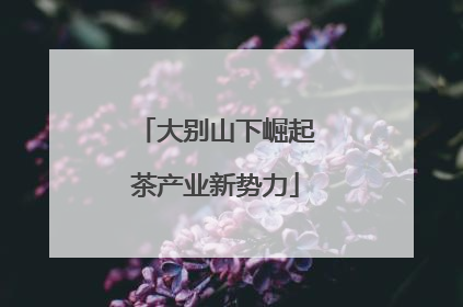 大别山下崛起茶产业新势力