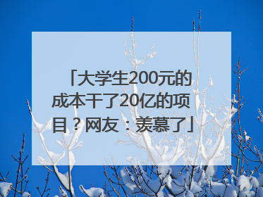 大学生200元的成本干了20亿的项目？网友：羡慕了