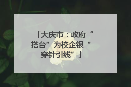 大庆市：政府“搭台”为校企银“穿针引线”