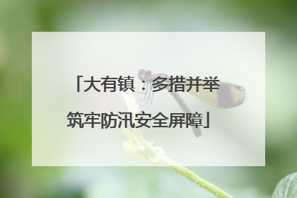 大有镇:多措并举筑牢防汛安全屏障