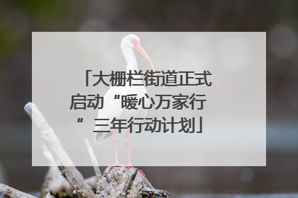 大栅栏街道正式启动“暖心万家行”三年行动计划