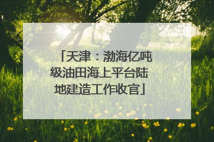 天津：渤海亿吨级油田海上平台陆地建造工作收官