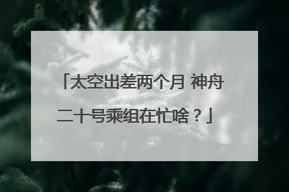 太空出差两个月 神舟二十号乘组在忙啥？