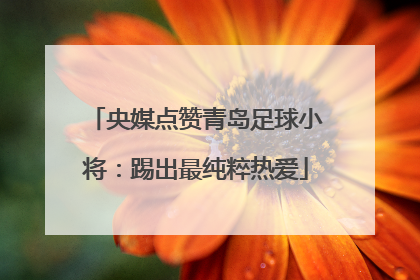 央媒点赞青岛足球小将：踢出最纯粹热爱