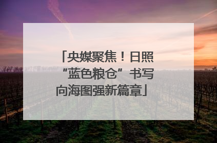 央媒聚焦！日照“蓝色粮仓”书写向海图强新篇章