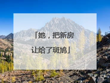 她，把新房让给了斑鸠