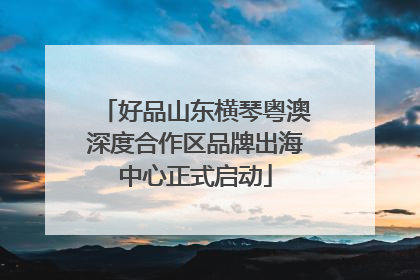 好品山东横琴粤澳深度合作区品牌出海中心正式启动