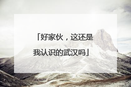 好家伙，这还是我认识的武汉吗