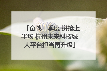 奋战二季度 拼抢上半场 杭州未来科技城大平台担当再升级