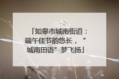 如皋市城南街道：端午佳节韵悠长，“城南田语”梦飞扬