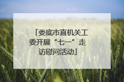娄底市直机关工委开展“七一”走访慰问活动
