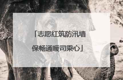 志愿红筑防汛墙 保畅通暖司乘心