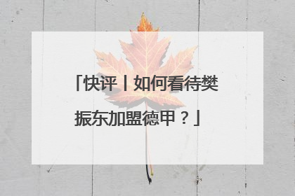 快评丨如何看待樊振东加盟德甲？