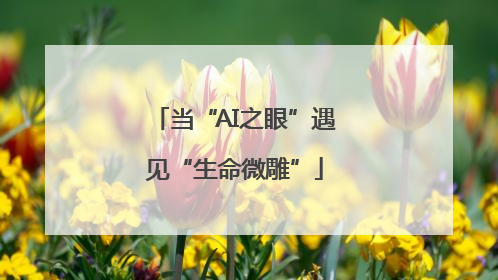 当“AI之眼”遇见“生命微雕”