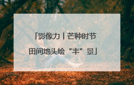 影像力丨芒种时节 田间地头绘“丰”景